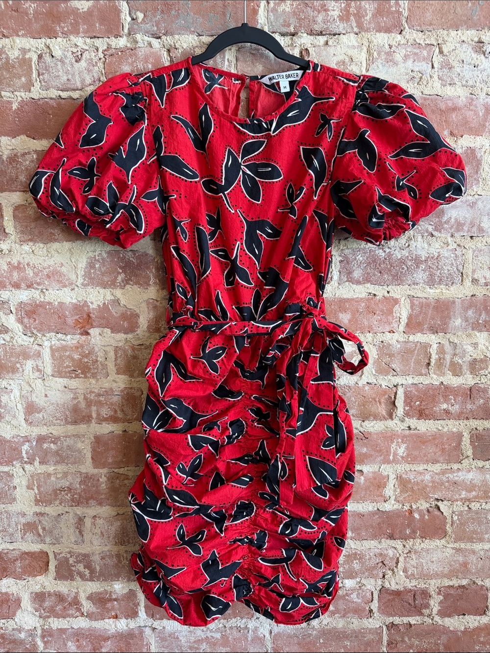 Walter Baker Farrah Red and Black Puff Sleeve Floral Dress